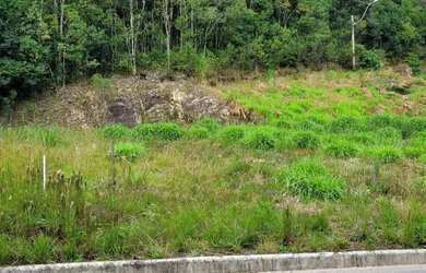 Imagem 3: Terreno Bairro Desvio Rizzo