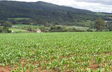 Imagem: TERRENO 2HC SERRA AZUL IGARAPÉ/MATEUS LEME