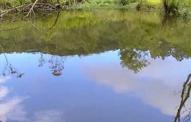 Imagem: A chácara possui 20.000m² de Área e está localizado em