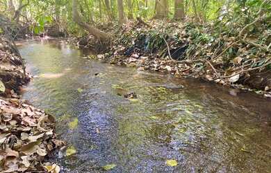 Imagem: A fazenda possui 27500m² de Área e está localizado em Bela
