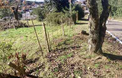 Imagem 2: Terreno - Bairro Mato Queimado