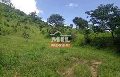 Imagem 3: Fazenda 337 Alqueires 1.638 Hectares Niquelandia - Go