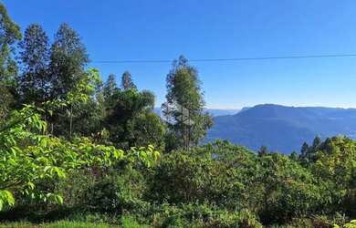 Imagem 2: Chácara em Nova Petrópolis próximo ao Ninho das Águias