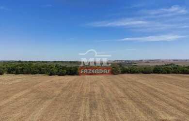 Imagem 4: Fazenda 17,5 alqueires (84,75 hectares) Piracanjuba - Go