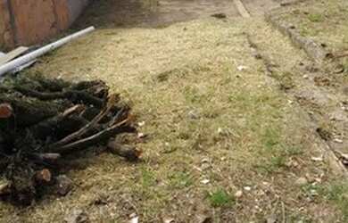 Imagem: O terreno possui 660m² de Área e está localizado em Rincão