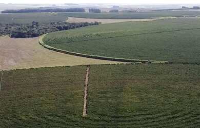 Imagem: A fazenda possui 10.000.000m² de Área e está localizado