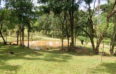 Imagem 10: Sitio - Bairro Tapera. 10.000m² de Área