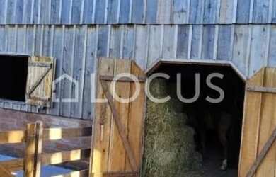 Imagem 12: Sítios - 3 dormitórios - Linha São José