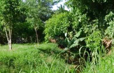 Imagem: A chácara à venda possui e está localizado em Ponto Novo