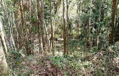 Imagem: O terreno possui 745m² de Área e está localizado em Pedra