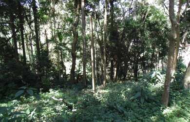 Imagem 13: Lote/Terreno para venda tem 66000 metros quadrados em Colônia Zona Leste...