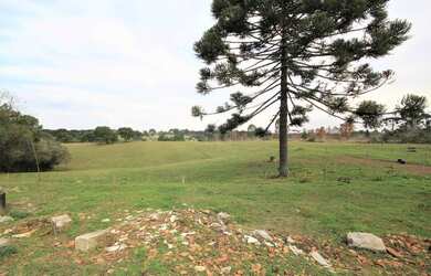 Imagem 7: FAZENDA à venda com 191760m² por R$ 7.000.000,00 no bairro Águas Claras...