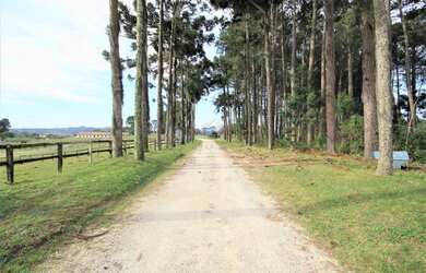 Imagem 3: FAZENDA à venda com 191760m² por R$ 7.000.000,00 no bairro Águas Claras...
