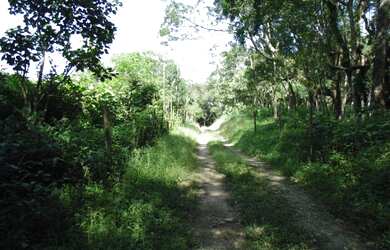 Imagem 10: Lote/Terreno para venda tem 66000 metros quadrados em Colônia Zona Leste...