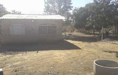 Imagem 6: Vendo fazenda. 