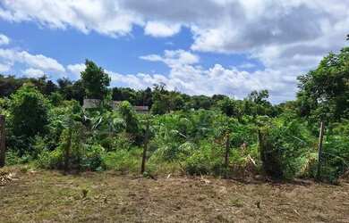 Imagem 3: Terreno no Maicá 1 20x30