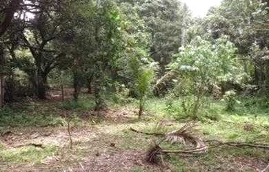 Imagem 4: terreno 10.000m2 em Manilha a 100m da RJ104 Marambaia em frente SURF motel