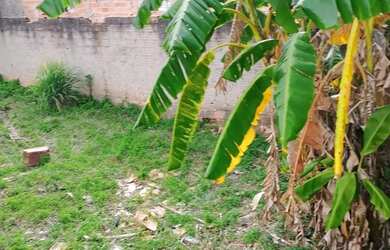 Imagem 2: Terreno plano à venda/ 294 m²/ Oportunidade/ Ac. Av. São Paulo/ Só...