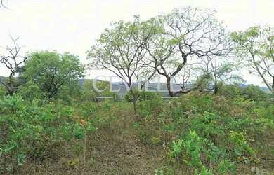 Imagem 10: Área comercial localizado a poucos metros da Praça