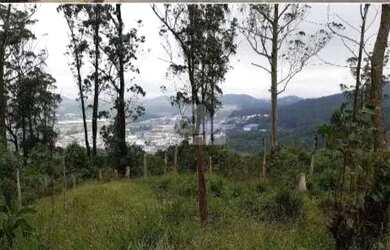 Imagem: O terreno possui 47.037m² de Área e está localizado em Vila