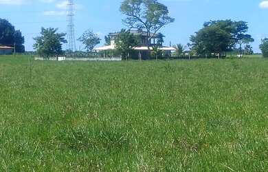 Imagem: A fazenda possui 130m² de Área e está localizado em Serraria