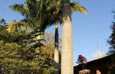 Imagem 14: Sítio, Região de Porto Feliz SP