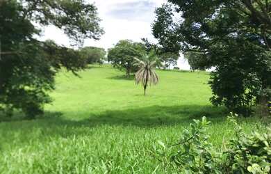 Imagem 2: Alugo Pasto Abadia de Goiás 3 Alqueire com água