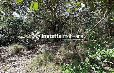 Imagem 5: Terreno à venda, 3735 m² por R$ 600.000,00 - Gleba Água Boa - Palmas/TO