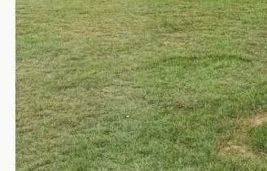 Imagem: O terreno possui 3.000m² de Área e está localizado em Centro