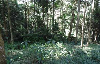 Imagem 14: Lote/Terreno para venda tem 66000 metros quadrados em Colônia Zona Leste...