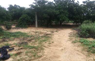 Imagem 5: Linda fazenda 600ha na rota da aeólica e casa na cidade