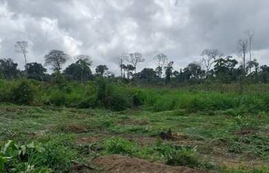 Imagem: A fazenda possui Imóvel novo e está localizado em Uruará
