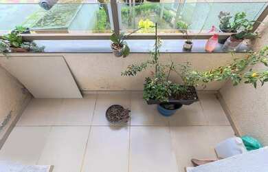 Imagem 11: São Paulo - Apartamento Padrão - Jardim Santa Terezinha