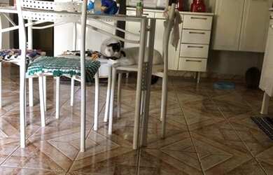 Imagem: A casa possui 3 Dormitórios, 2 Banheiros, 1 Vaga na garagem