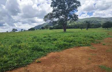 Imagem 11: Fazenda 80 alq. Em trindade 300 mil.p/ alq. Pega 40% aptos Goiânia 24 milhoes