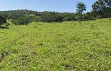 Imagem 16: Fazenda em Paracatu MG de 213 hectares com 70 hectares de área plana...