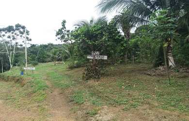 Imagem: A chácara possui 4.200m² de Área e está localizado em Centro