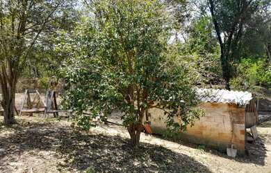 Imagem 6: Chácara 1200 metros. 1.200m² de Área