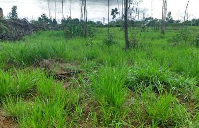 Imagem 9: Lote Condominio Paula Lorrany - Lago Corumba 4 - Abadiania