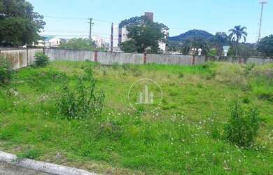 Imagem 1: Terreno à venda, 395 m² por R$ 266.000,00 - Praia de Fora - Palhoça/SC
