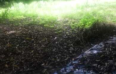 Imagem: O terreno possui 450m² de Área e está localizado em Horto