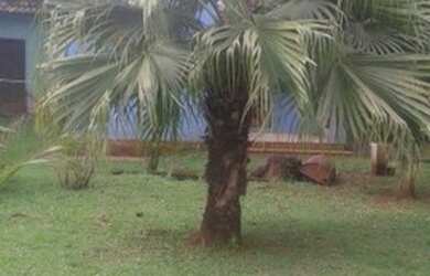 Imagem: A fazenda possui 1.750m² de Área, Churrasqueira, Varanda e