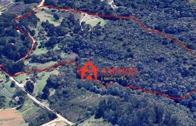 Imagem 12: Área à venda, 134645 m² - Tanguá - Almirante Tamandaré/PR