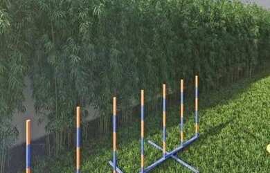 Imagem 16: APARTAMENTO RESIDENCIAL em São Paulo - SP, Perdizes