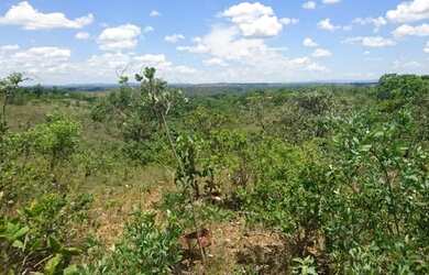 Imagem: A chácara está localizado em Jaboticatubas, MG à venda por