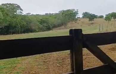 Imagem: A fazenda está localizado em Aparecida de Goiânia, GO à venda