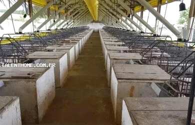 Imagem 4: Área Rural para Venda em Ouro Verde do Oeste