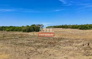 Imagem 3: Fazenda 17,5 alqueires (84,75 hectares) Piracanjuba - Go