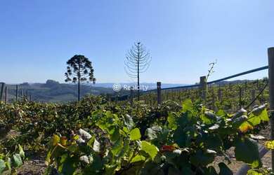 Imagem 16: MONTE BELO DO SUL - Terreno Padrão - Linha Armenio