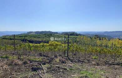 Imagem 14: MONTE BELO DO SUL - Terreno Padrão - Linha Armenio